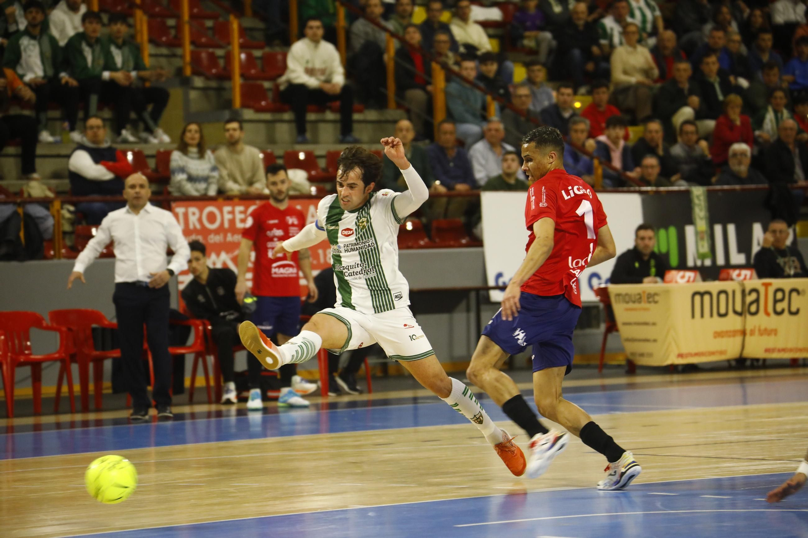 Las mejores fotos del Córdoba Futsal - Osasuna Magna en Vista Alegre