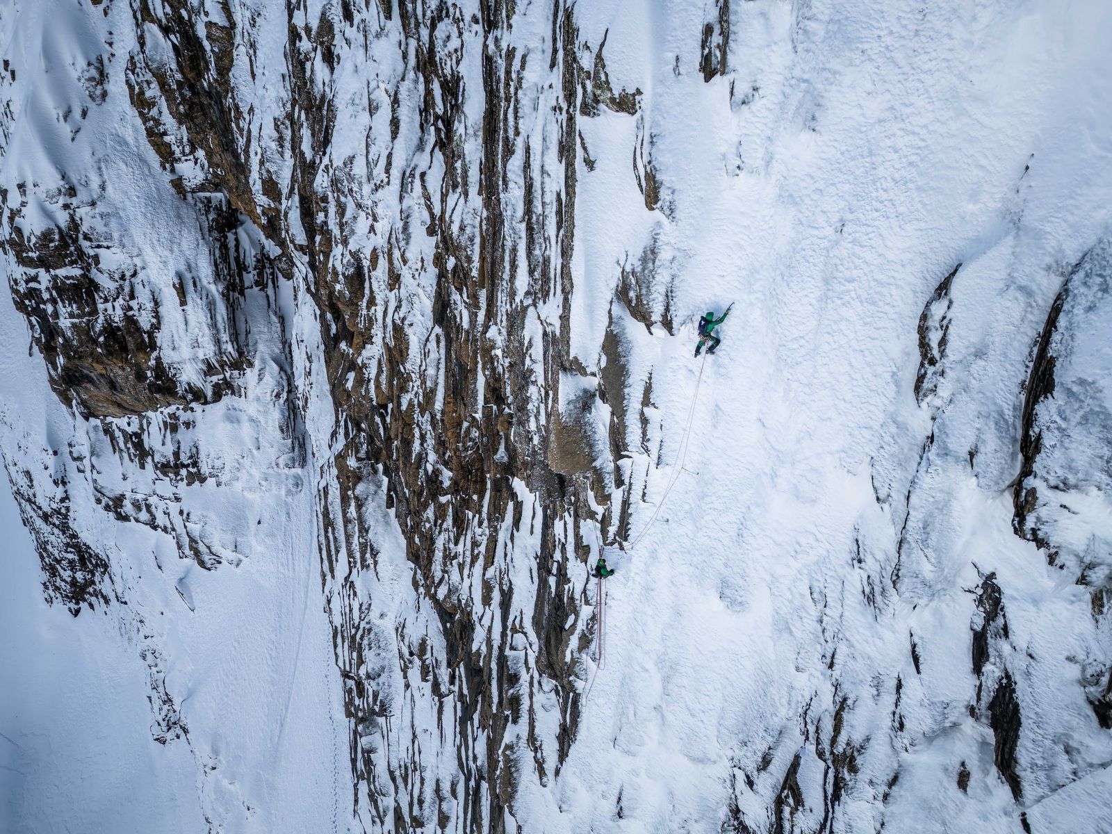 Otros | Frozen World