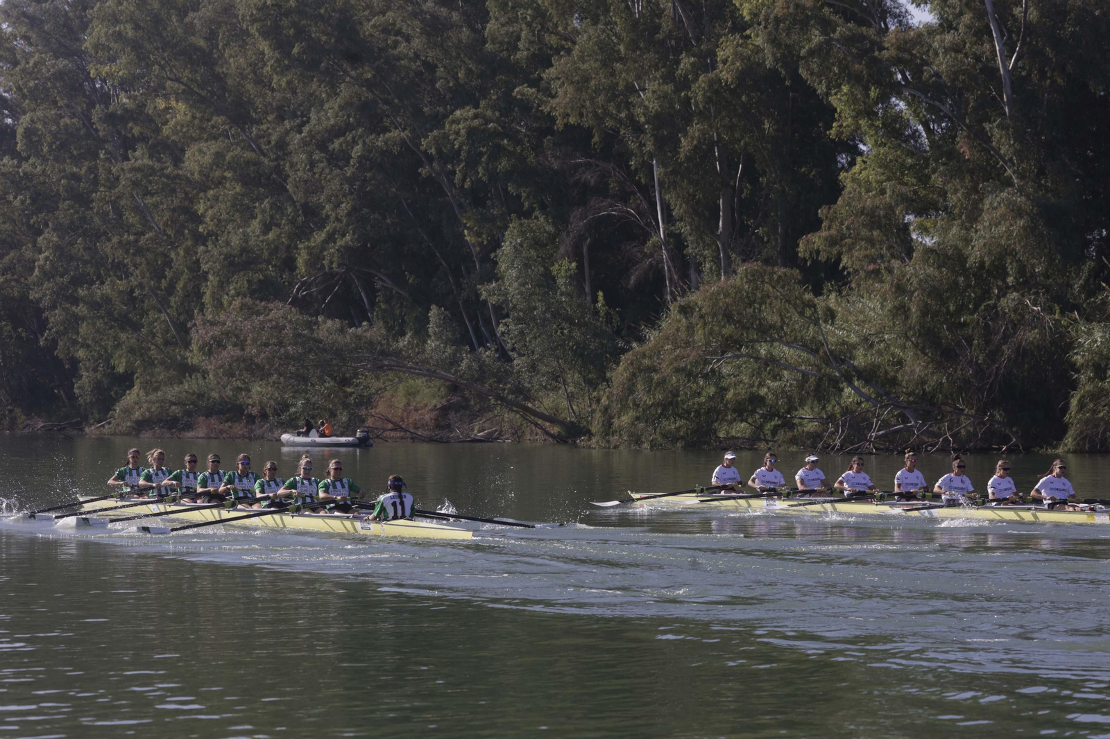 La Regata Sevilla-Betis femenina en imágenes