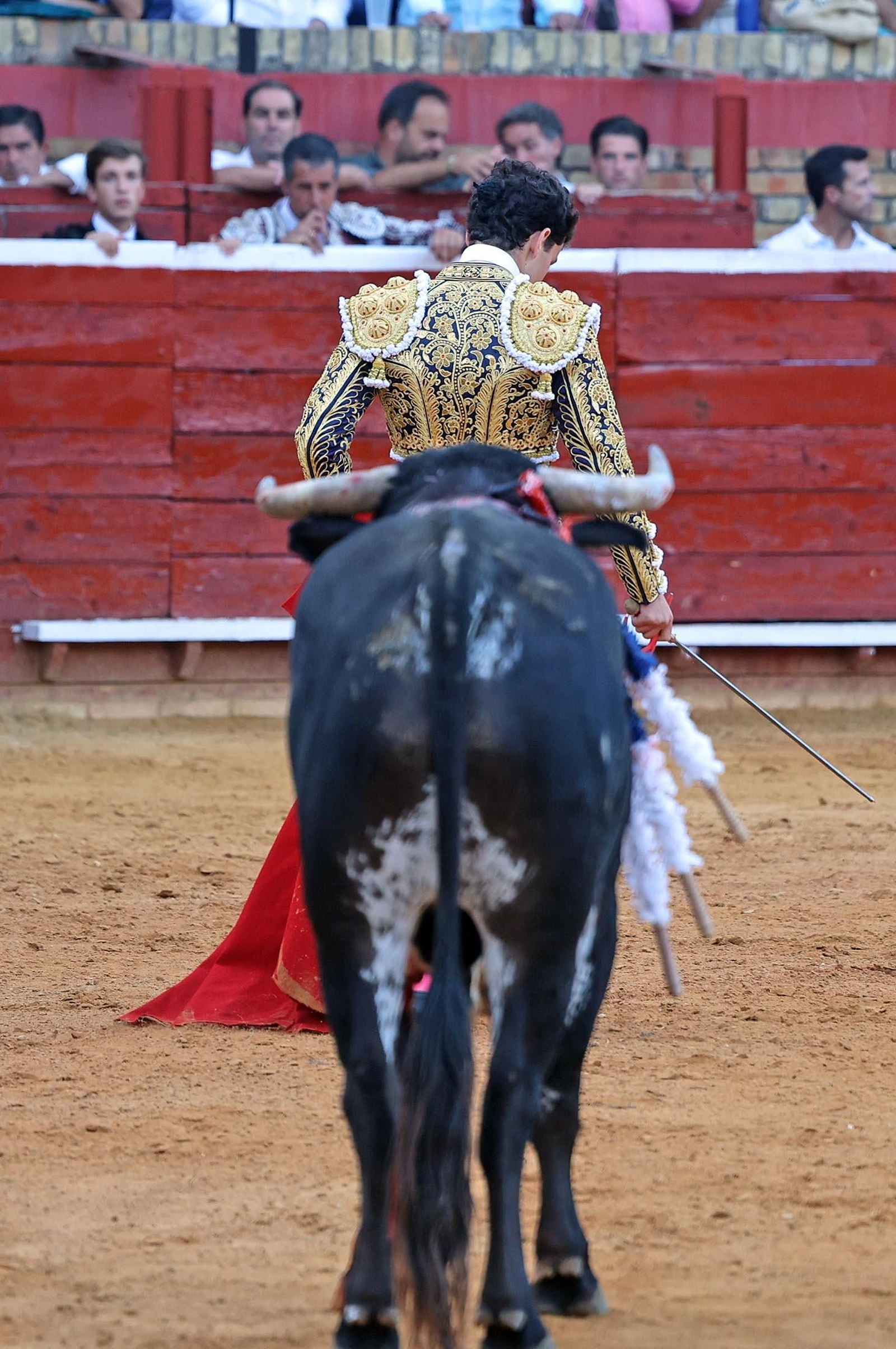 Toros La Merced 2025: Imágenes de la Novillada de Javier Zulueta, Cristian González y Carlos Tirado