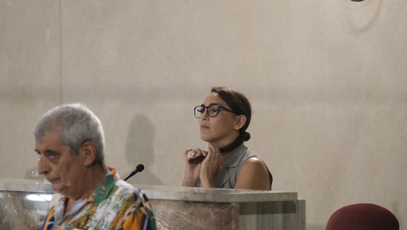 Imágenes del pleno ordinario del Ayuntamiento de Almería