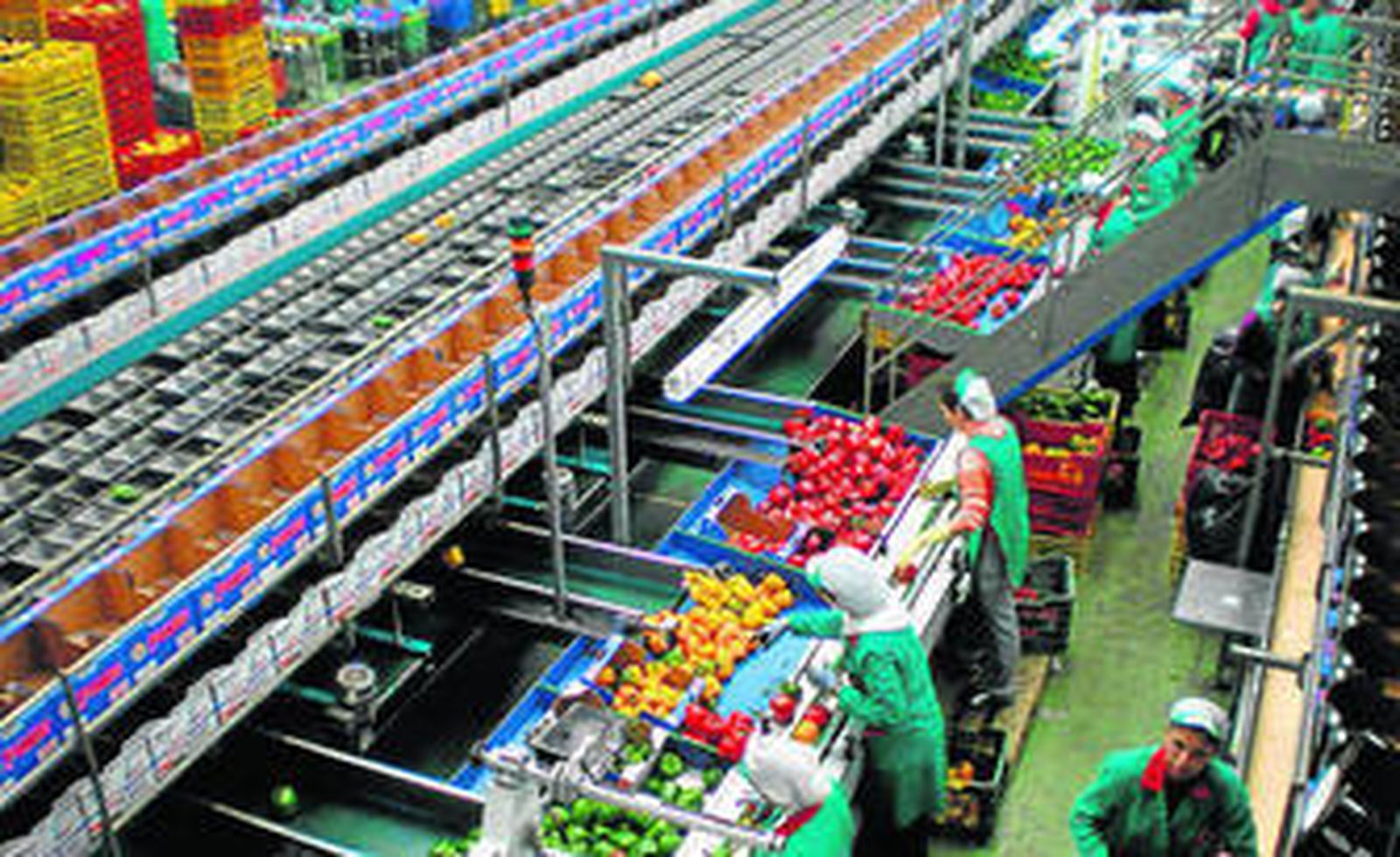 Una campaña más, los márgenes comerciales entre origen y destino han sido muy amplios.