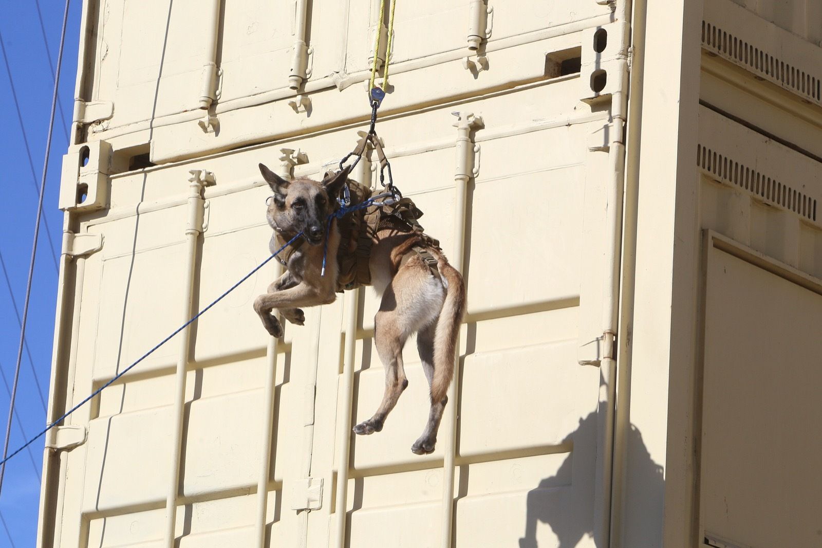 Ejercicio de Adiestramiento 2021 de Unidades Caninas en el TEAR.