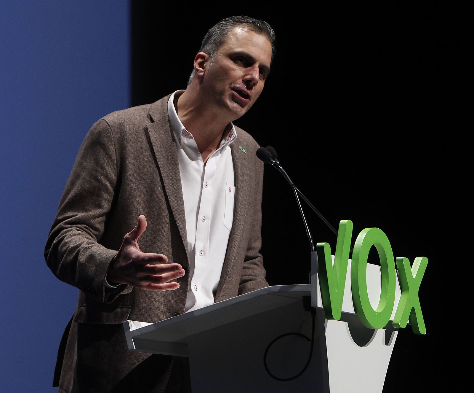 Presentación de la candidatura de Vox a las elecciones andaluzas en Sevilla