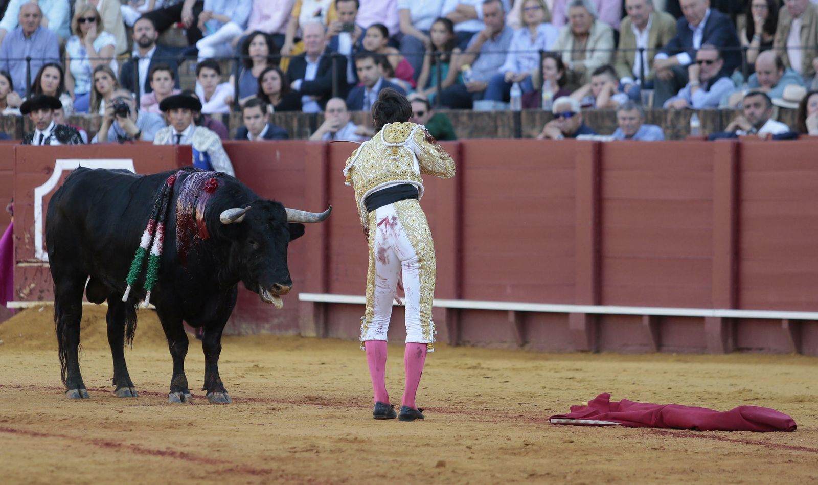 Ángel Jiménez -hoy matador de toros-, en una novillada en la plaza de Sevilla, entrando a matar sin muleta.