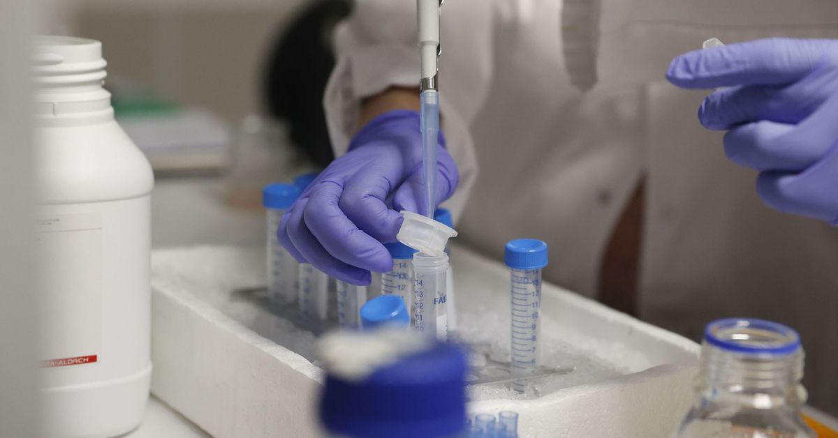 Un estudio del Virgen del Rocío alarga la respuesta al tratamiento de la trombocitopenia inmune