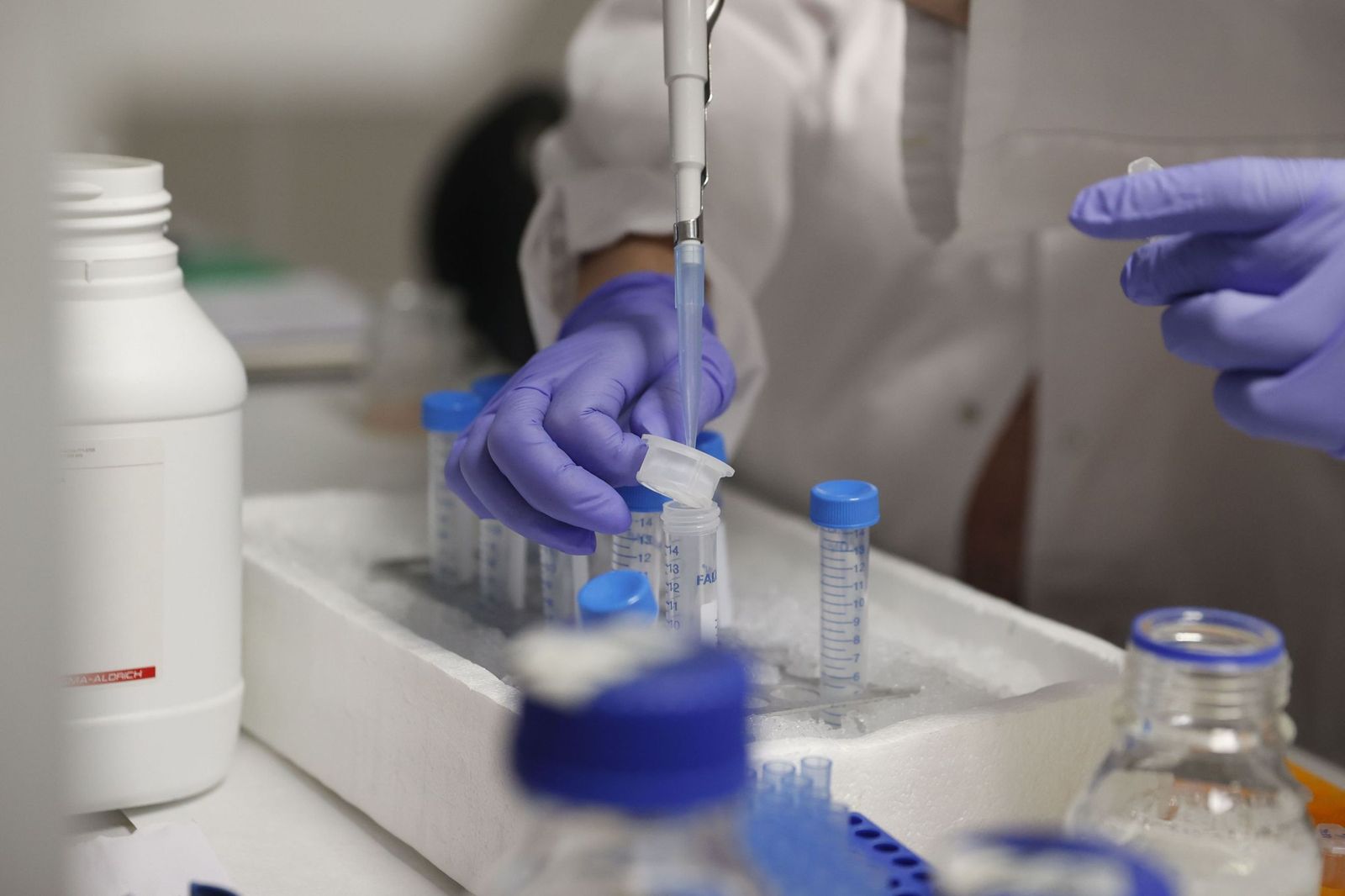 El trabajo en un laboratorio de biología molecular.