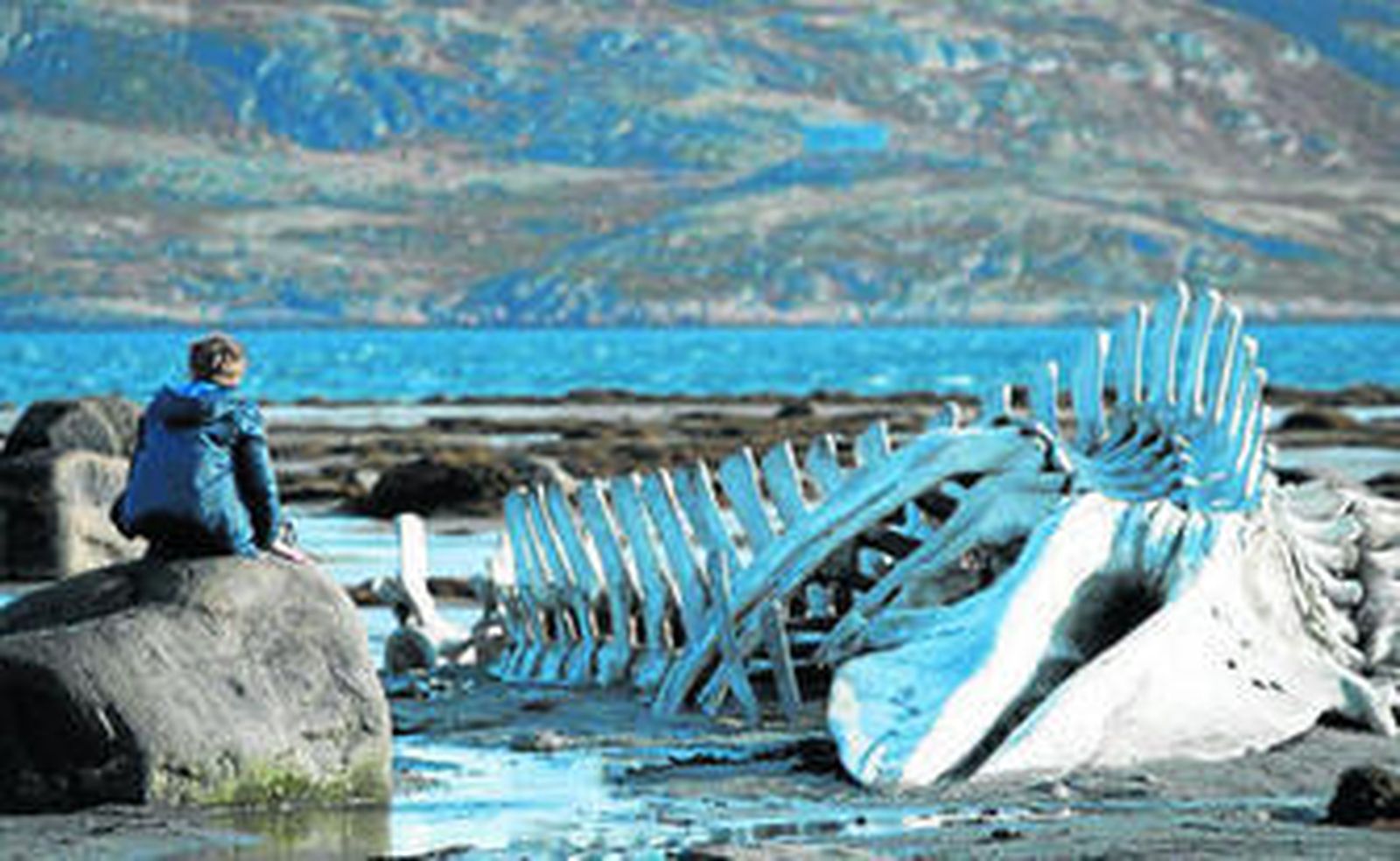 'Leviatán' desarrolla su tragedia en el paisaje desolado de un pueblo costero.