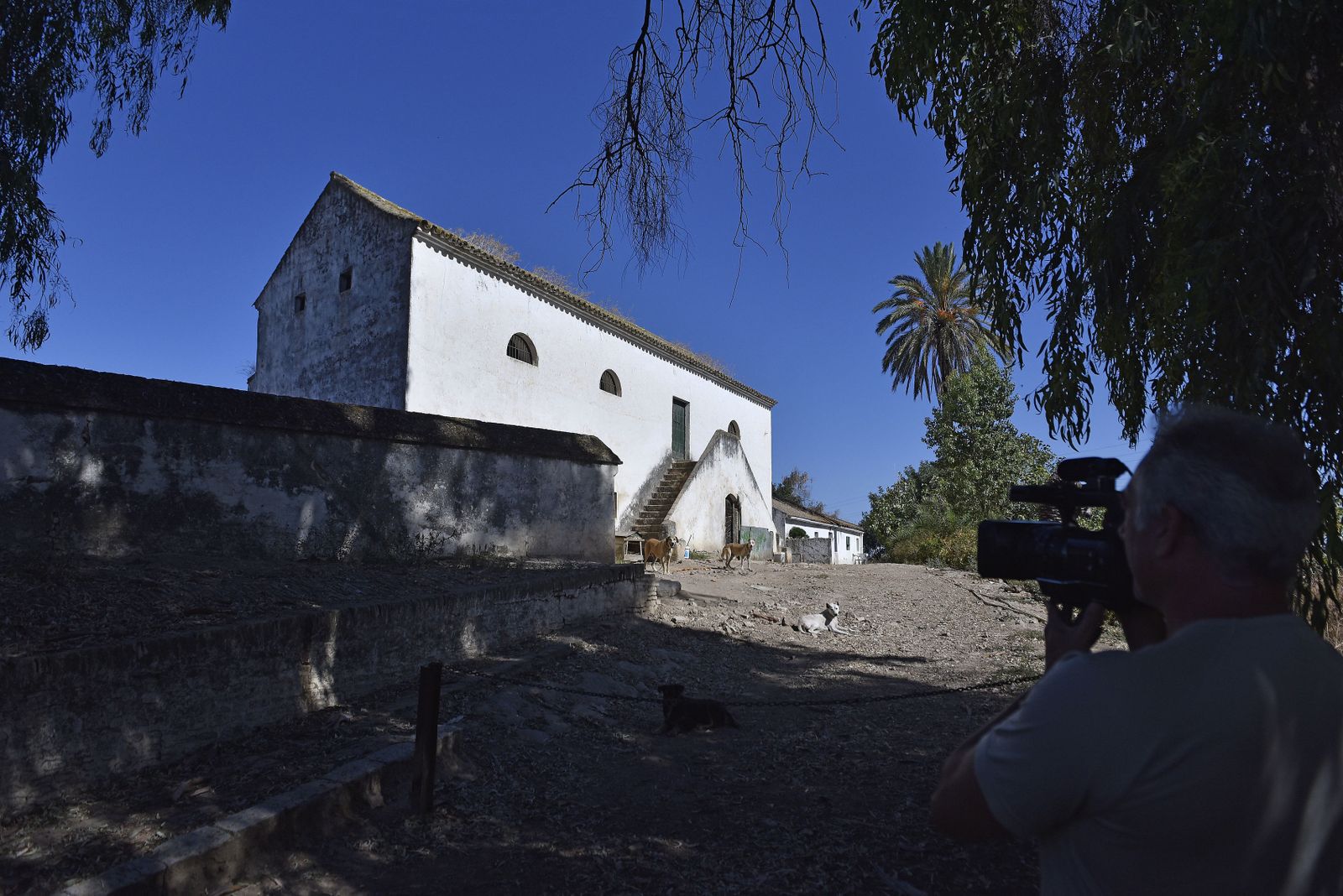 El cortijo Gambogaz, en el término municipal de Camas.