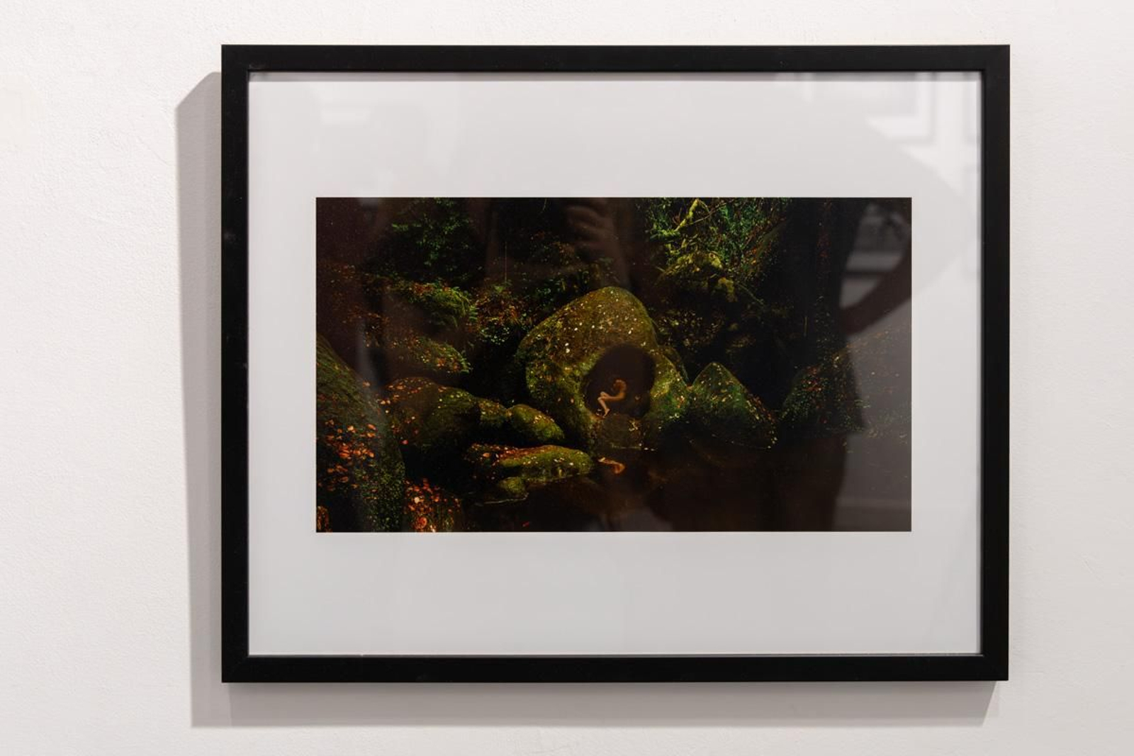 Exposición La Tierra, corazón de la vida, en imágenes