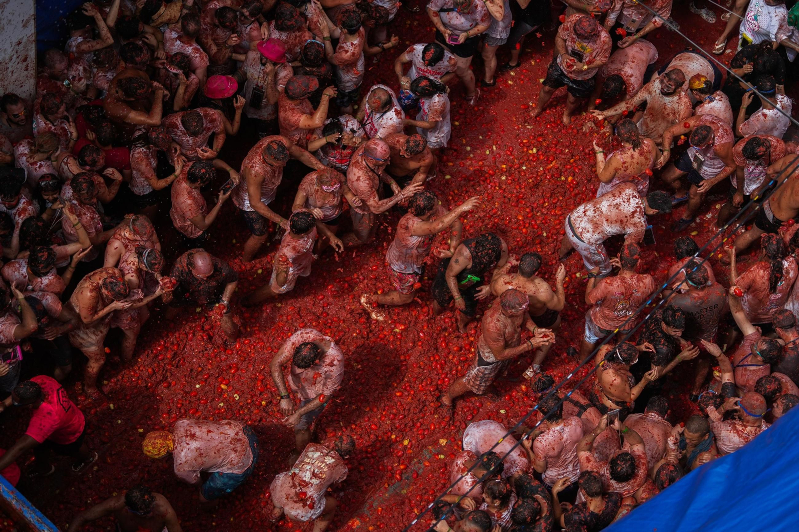 Las mejores fotos de la Tomatina de Buñuel 2025