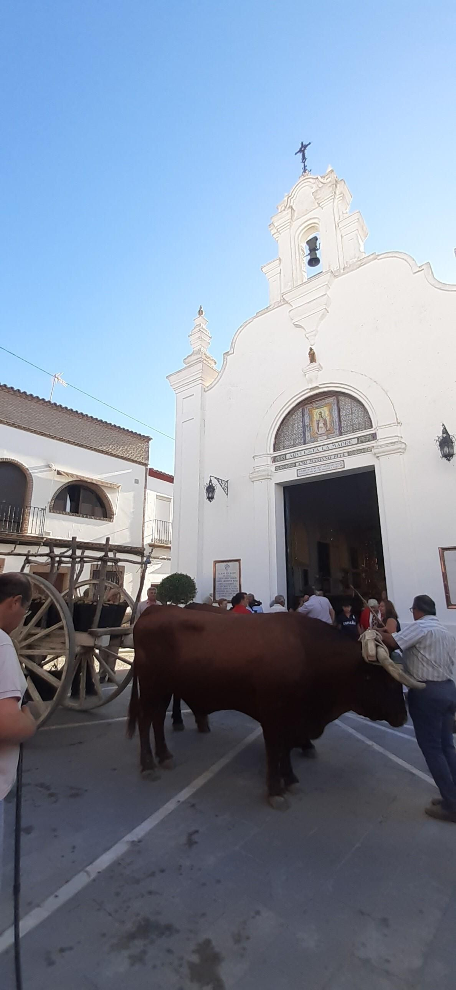 La próxima cosecha se espera que aumente hasta los 50.000 kilos.