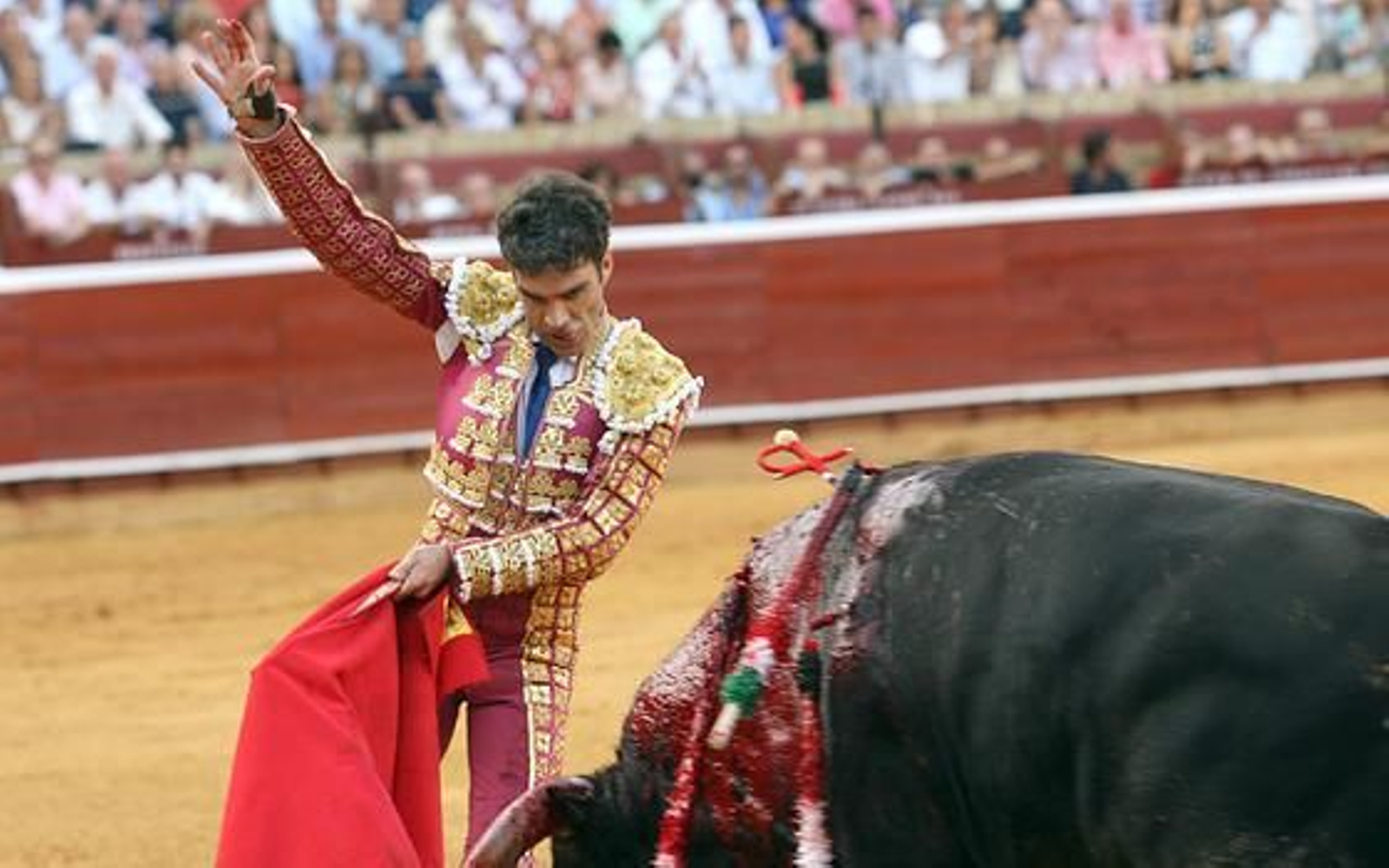 José Tomás y Morante de La Puebla llenaron de toreo la Plaza de Toros de la Merced en un mano a mano admirable

Foto: Espinola