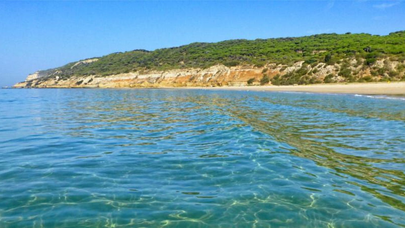 La playa de la Hierbabuena en Barbate.