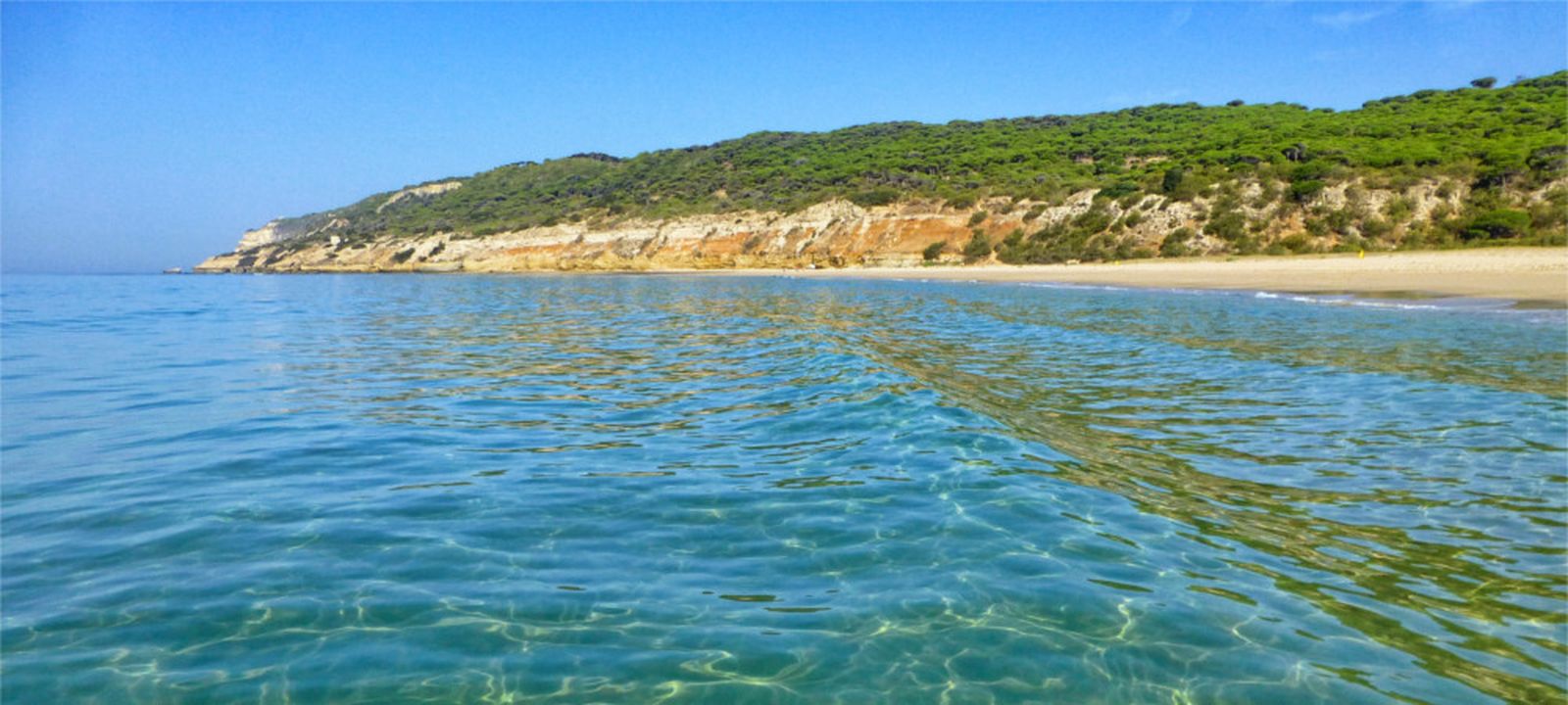 La playa de la Hierbabuena en Barbate.