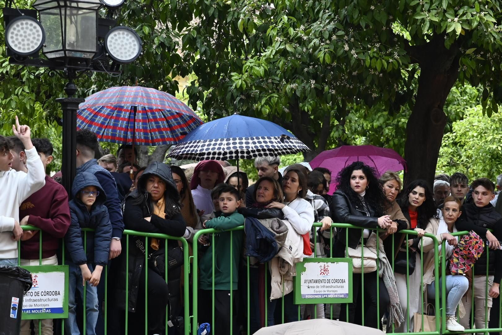 La procesión de la hermandad de la Agonía en este Martes Santo de Córdoba, en imágenes