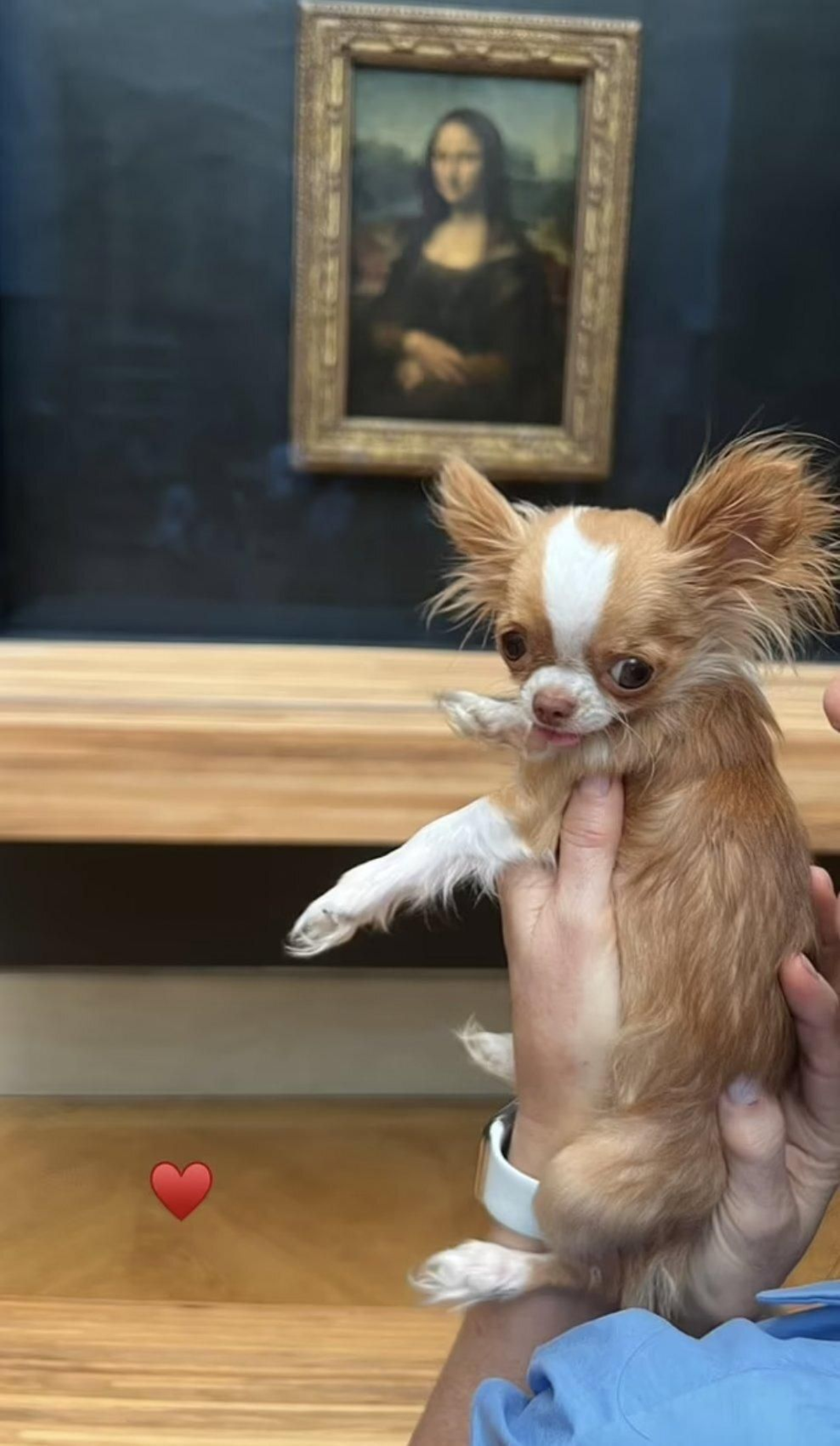 Pilaf llevado por Demi Moore al museo del Louvre