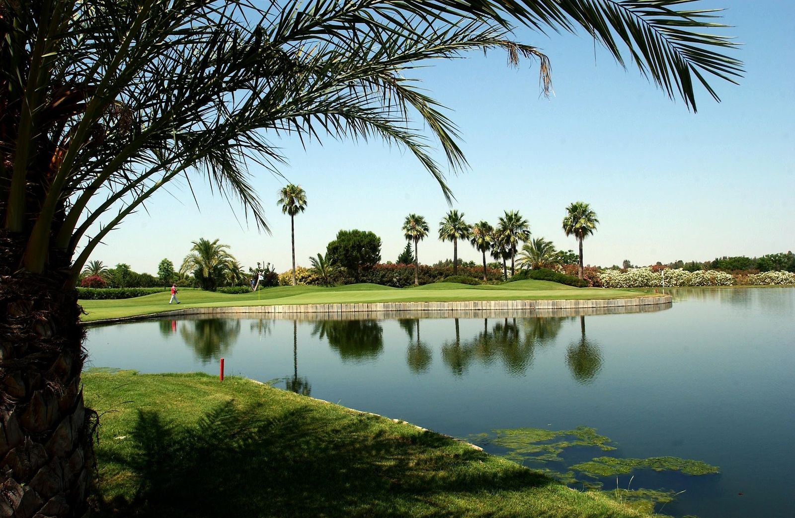 Una imagen del Real Club Sevilla Golf, que acogerá el torneo.