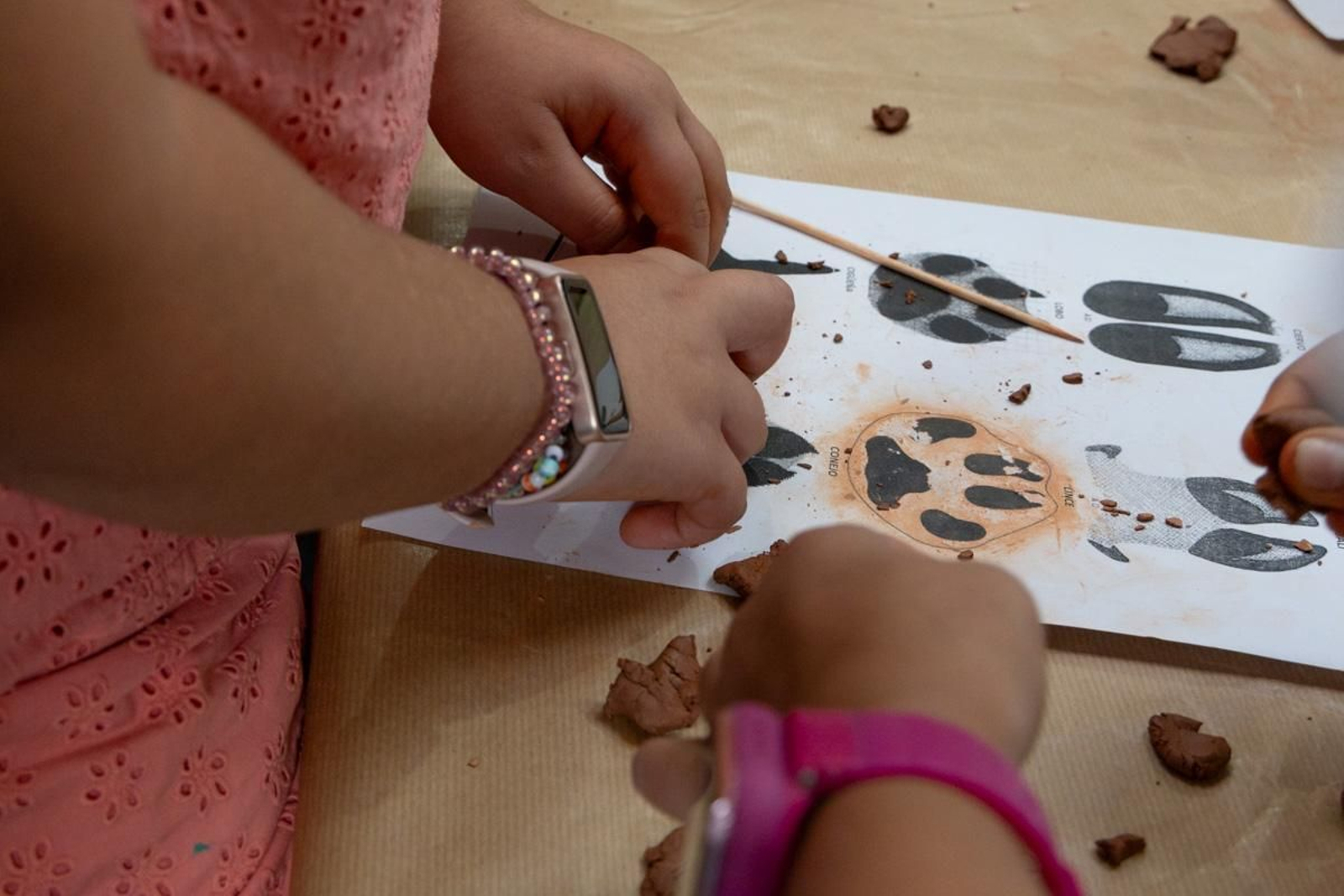 Ibercaza 2024, Jaén