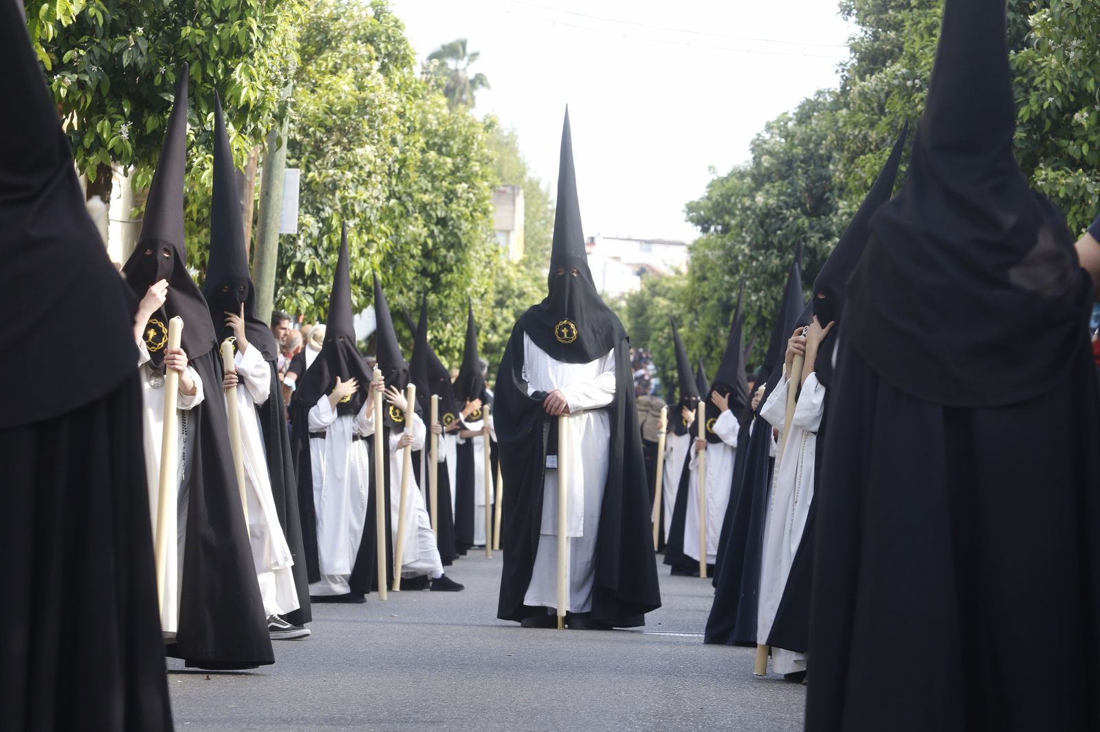Domingo de Ramos en Córdoba: La procesión del Amor, en imágenes