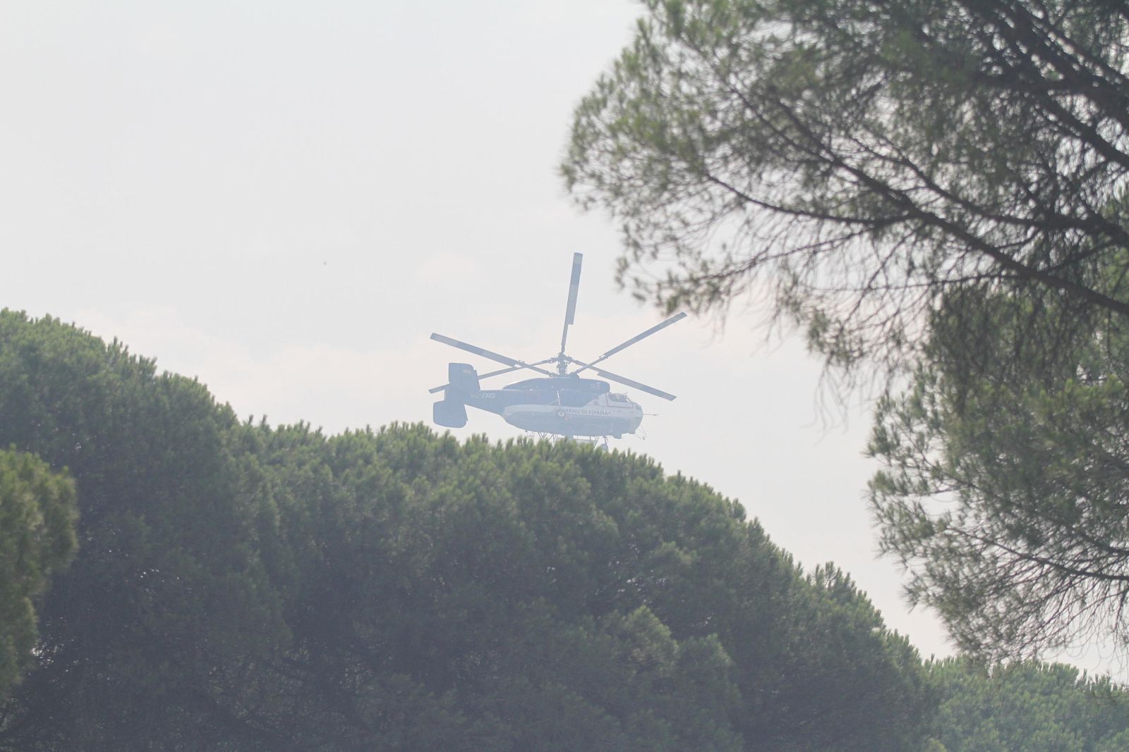 Las imágenes del incendio en Moguer y Mazagón