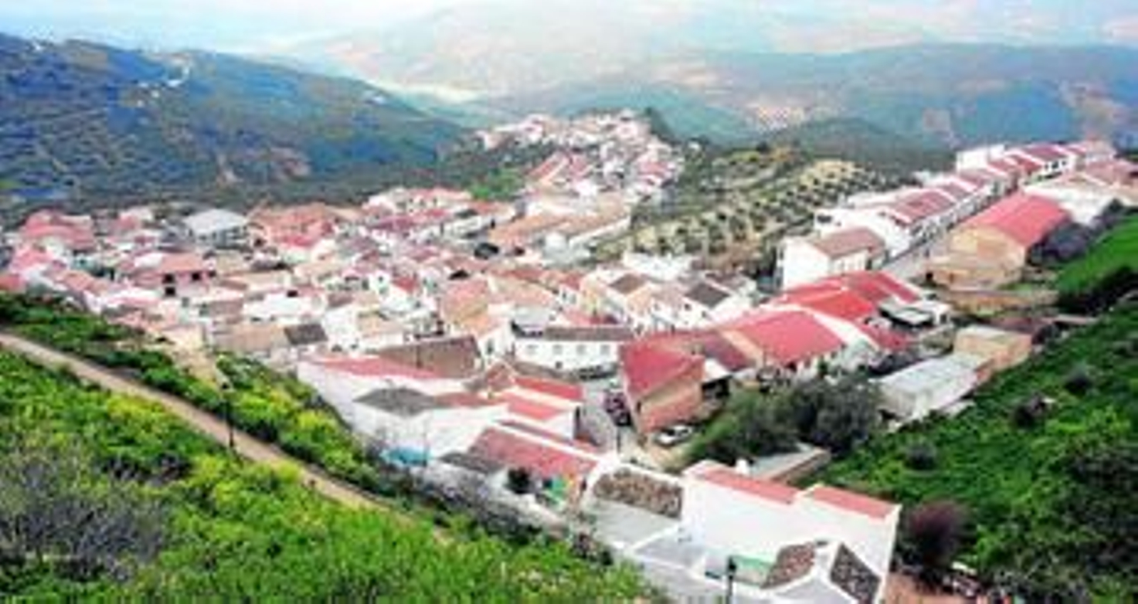 Zagra crece entre olivos