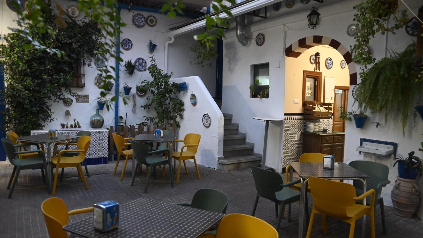 Patio Taberna Regina