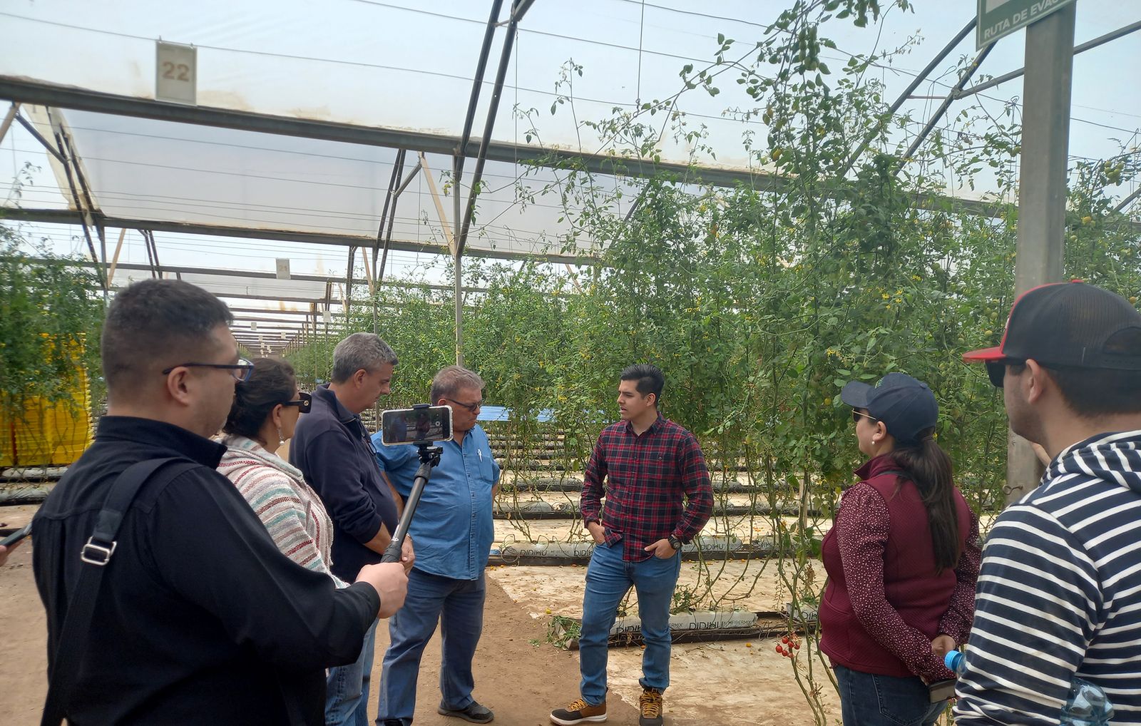 Visita a un invernadero local.