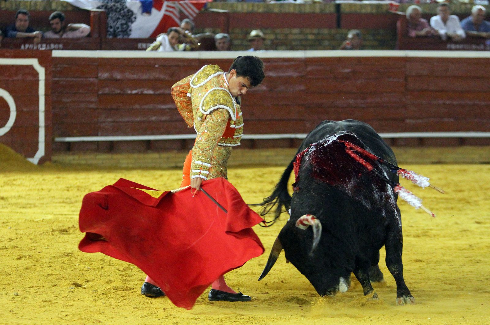 Imágenes de la Novillada de Rafael Serna, Emilio Silvera y Rodrigo Molina.