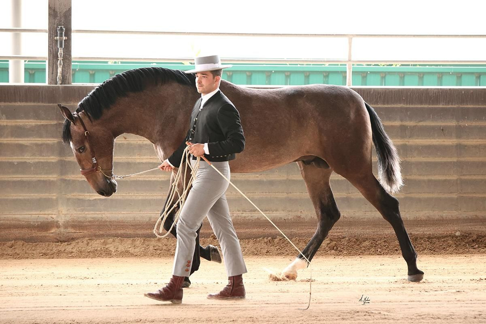 Juan Manuel Castillo se está labrando un hueco en los campeonatos de pura raza española.