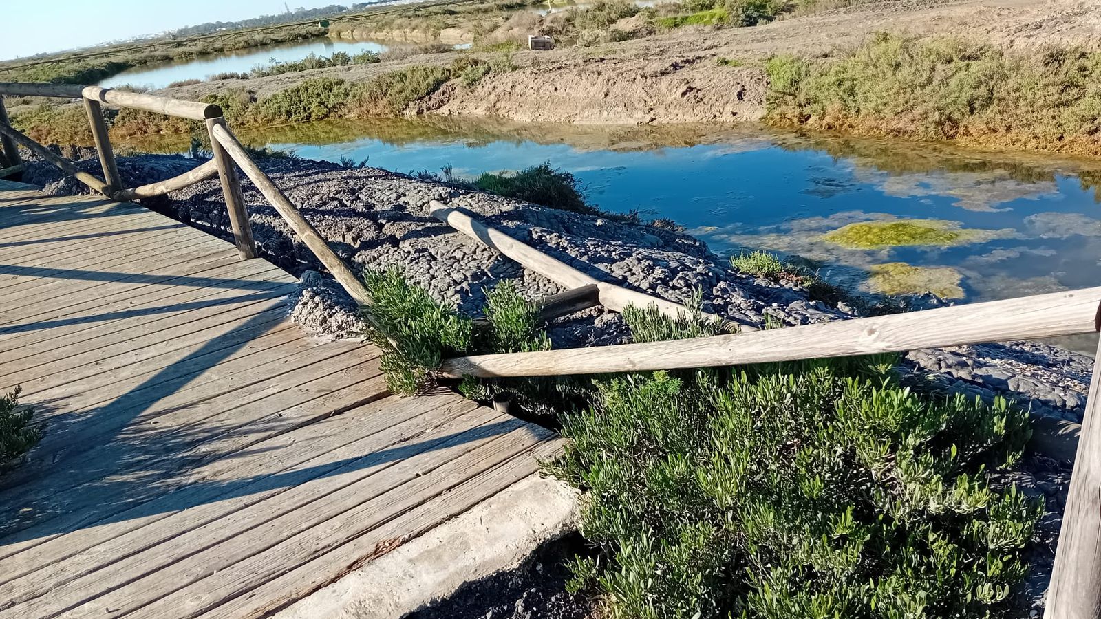 Sendero a la salina de La Esperanza