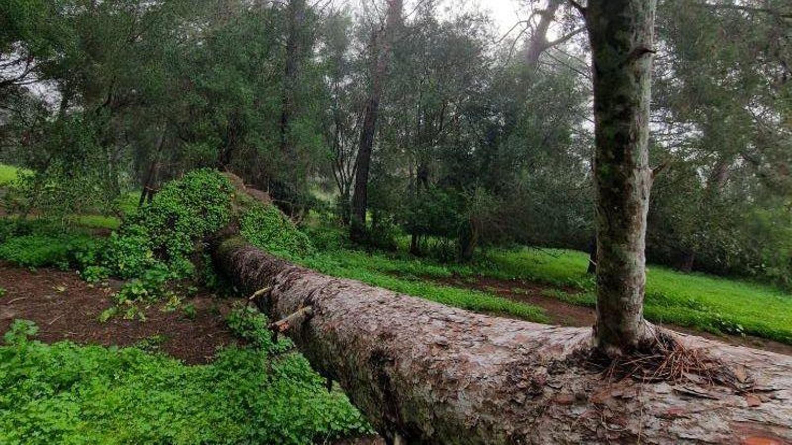 Una de las zonas del parque