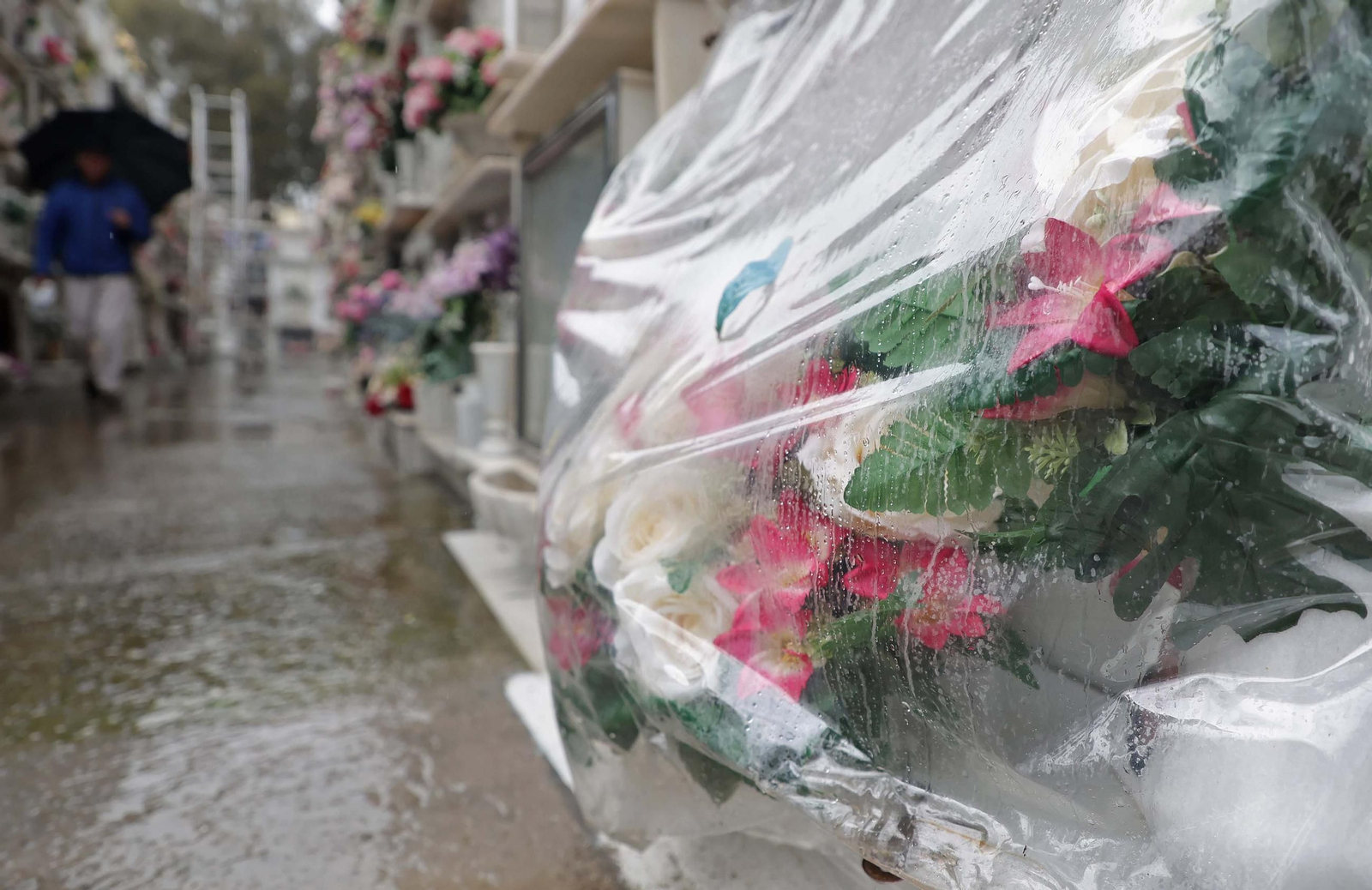 Fotos de los preparativos para Tosantos en el cementerio de Algeciras