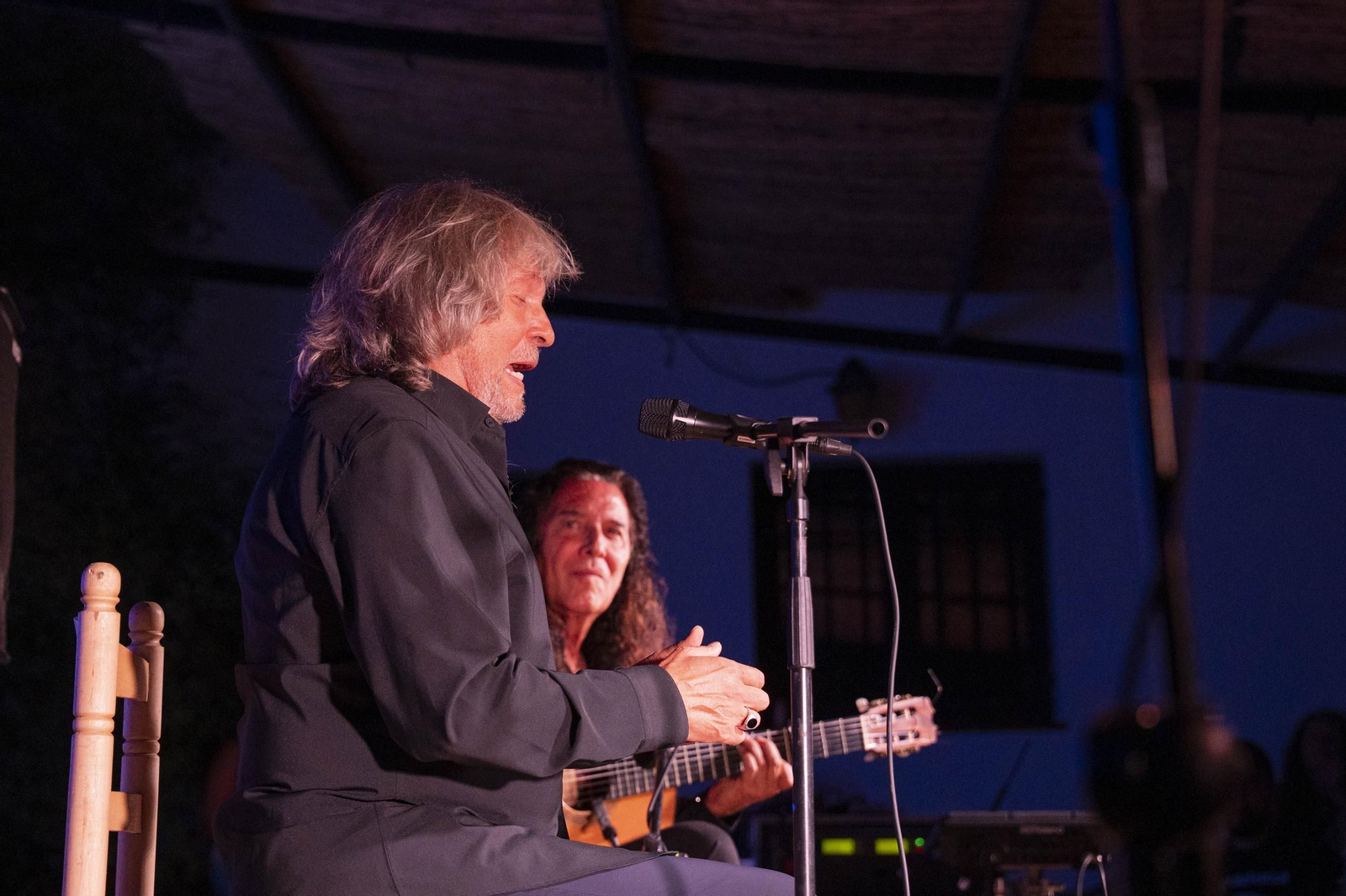 Las mejores imágenes del Festival de Flamenco en Fondón