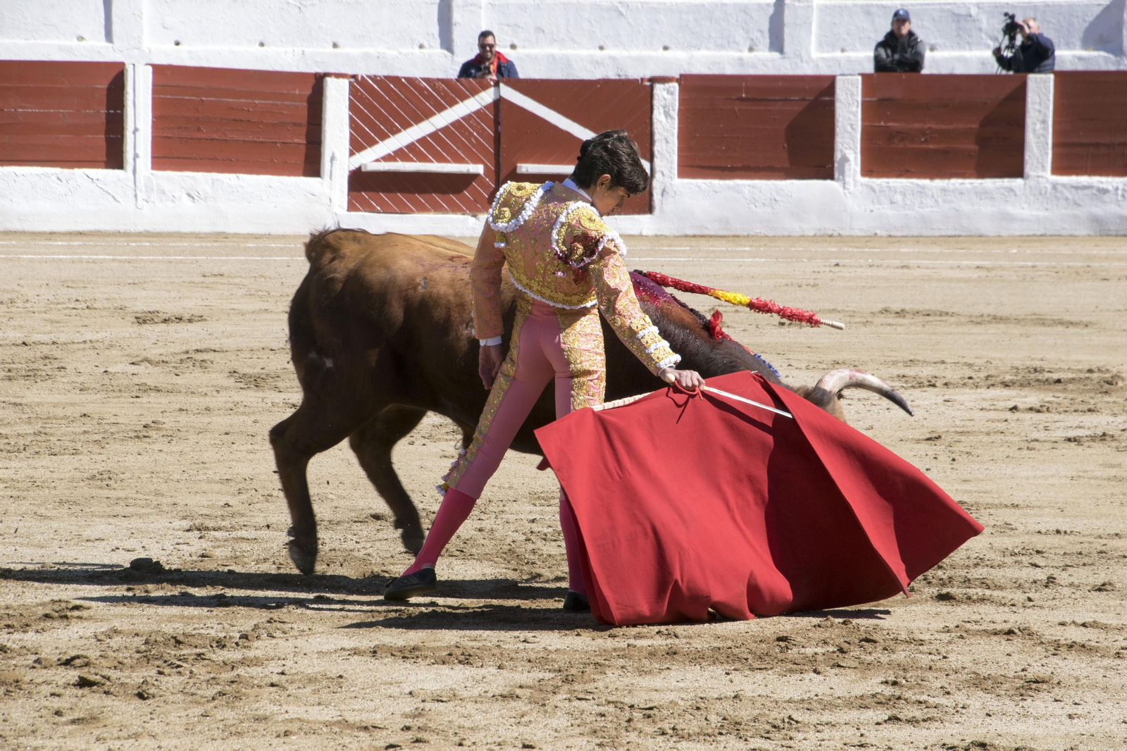 El triunfo del novillero Manuel Román en Linares, en imágenes