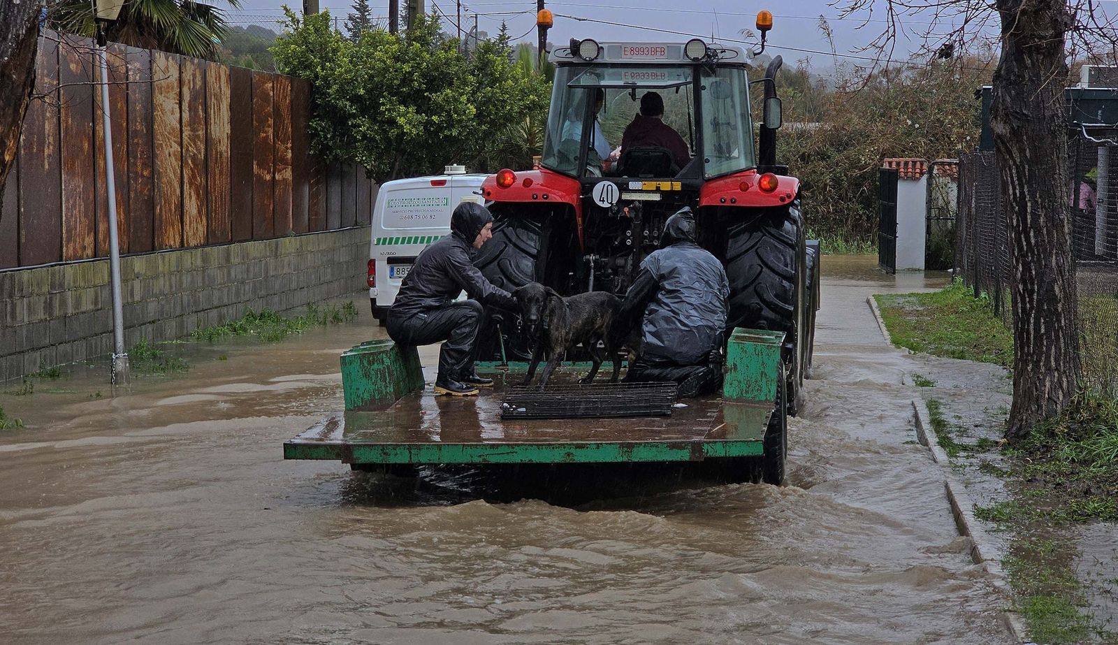 Fotos de las inundaciones y efectos de la borrasca Francis en Los Barrios, Tesorillo y Jimena