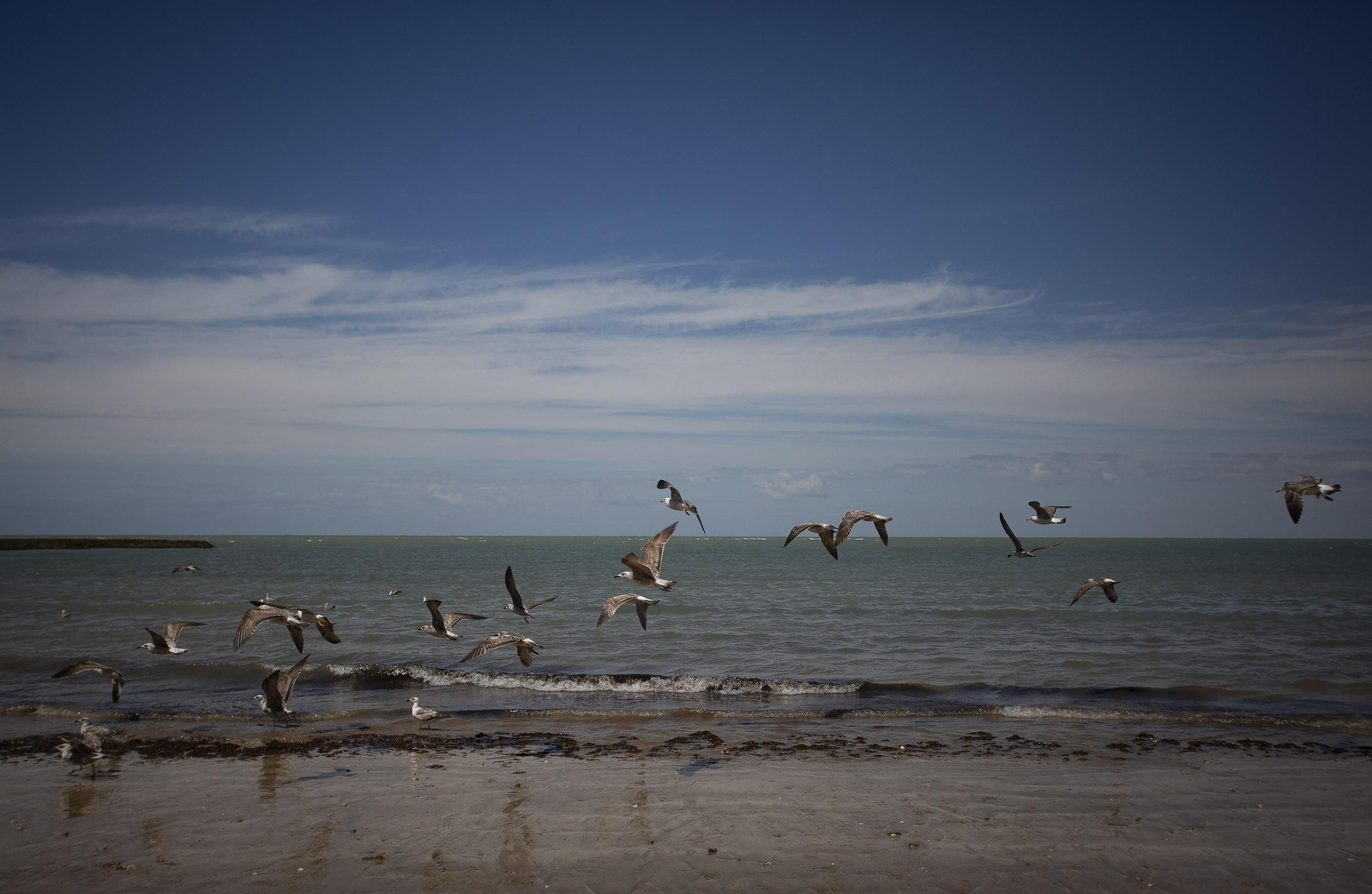 Las imágenes de la playa de Chipiona