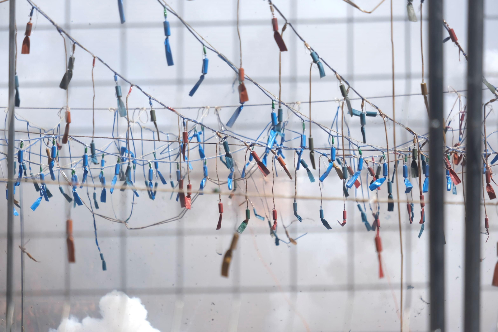 La 'máscletá' y el desfile de 'belleses' alicantinas celebrado en la plaza de la Corredera de Córdoba, en imágenes