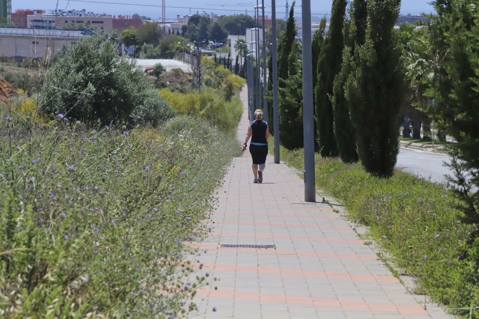 La foto del distrito Puerto de la Torre