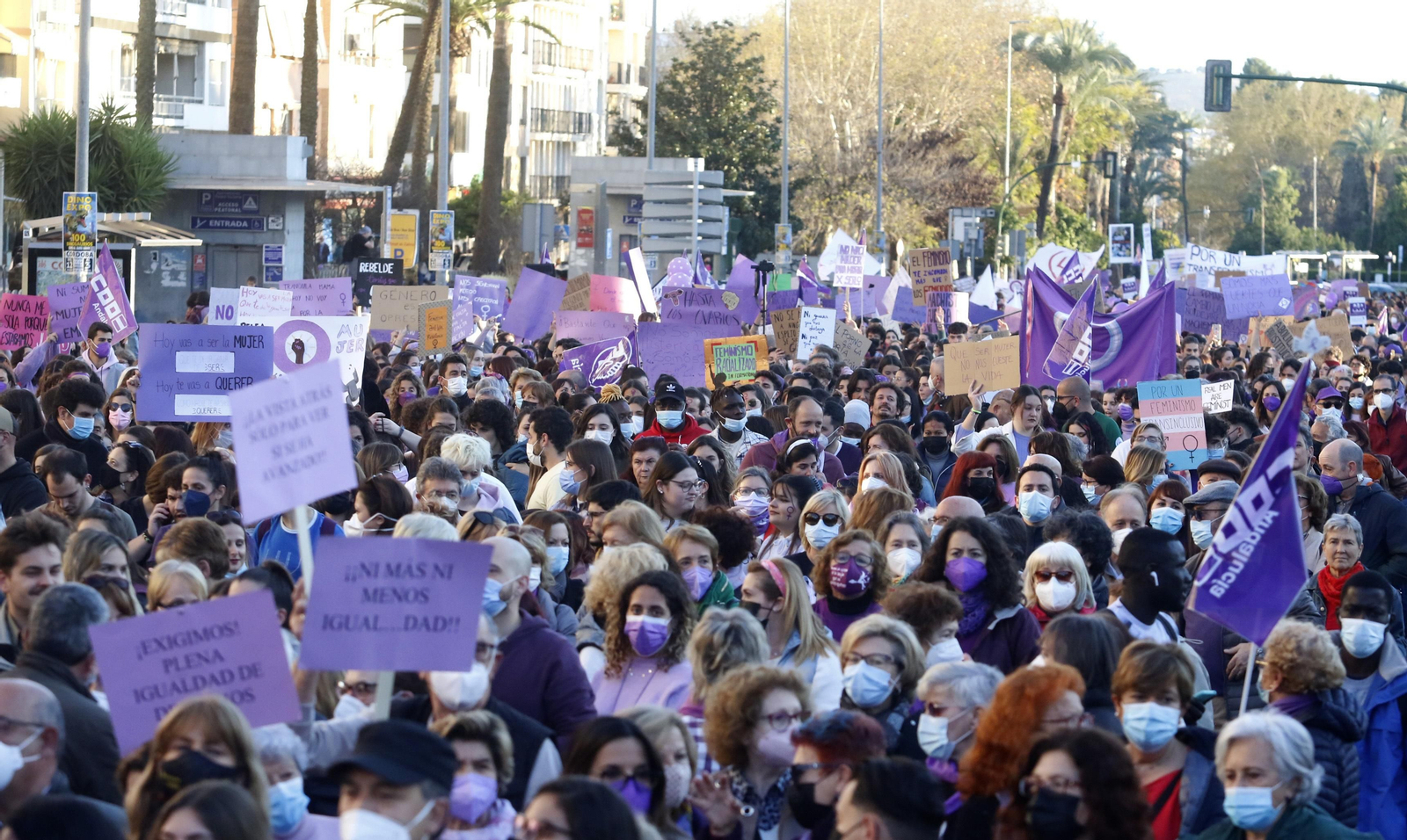 La manifestación del 8M en Córdoba, en fotografías