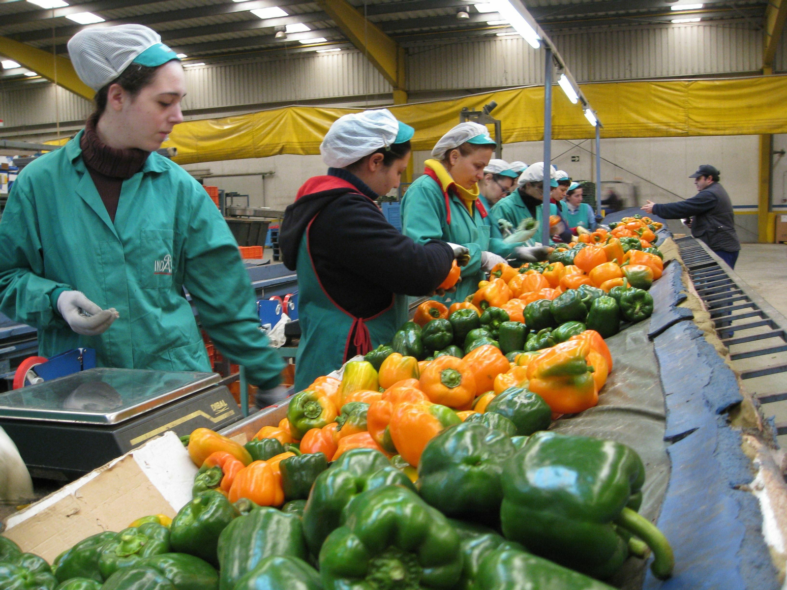 Granada aumenta sus exportaciones y llega a la cifra récord de 1.060 millones