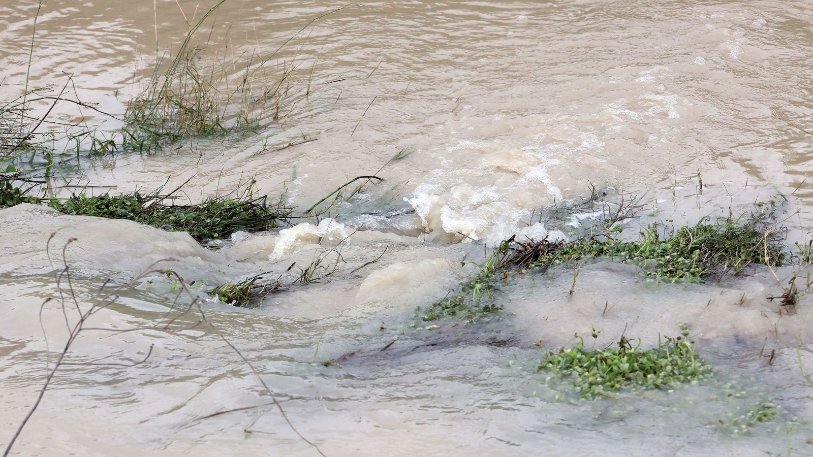 El Guadalete comienza a bajar su nivel poco a poco por la zona rural de Jerez