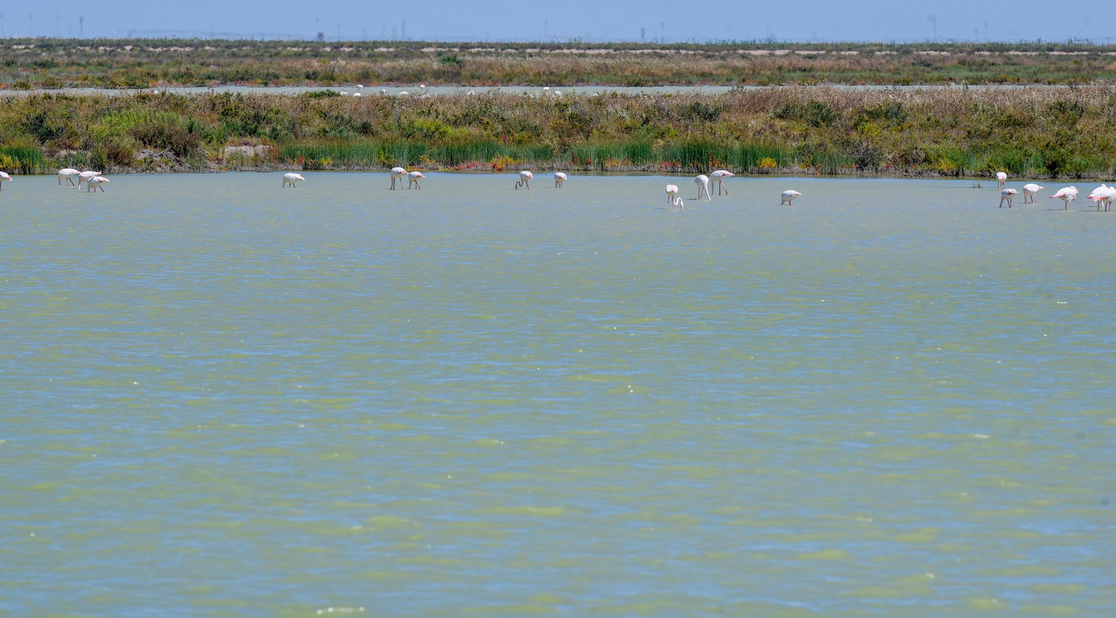 Imágenes de la finca Veta la Palma