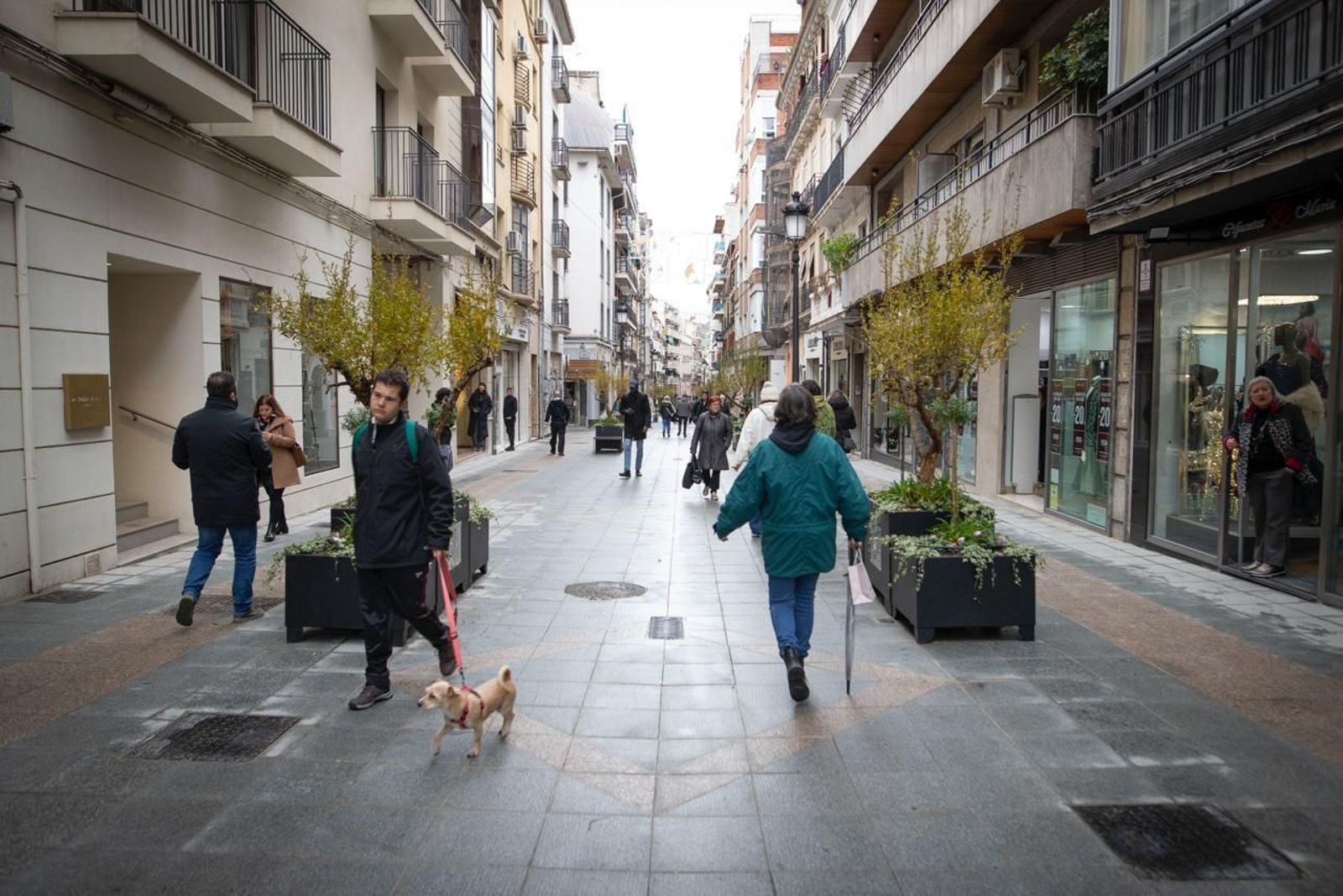 La nueva San Antón, en imágenes