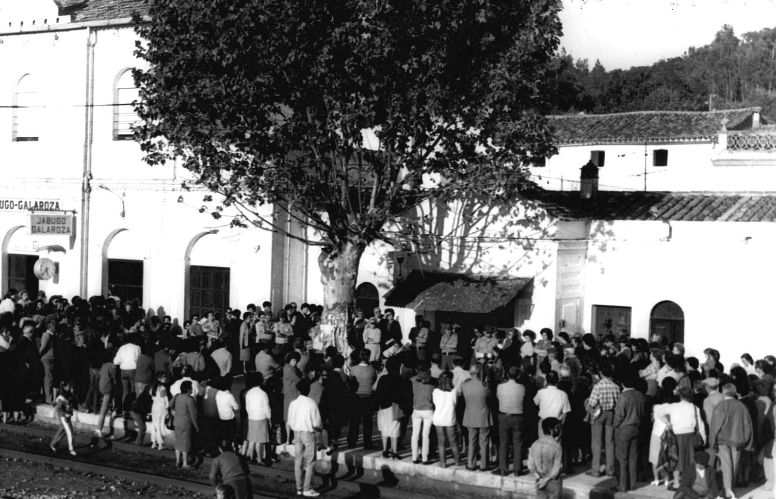 Cada vez más gente alrededor del árbol el día del 'milagro' de El Repilado.