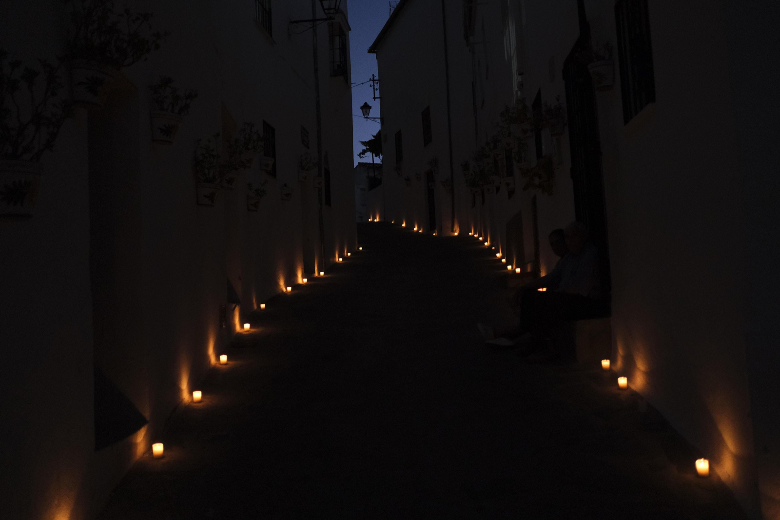 El 'Bosque encantado' de Parauta, en fotos.
