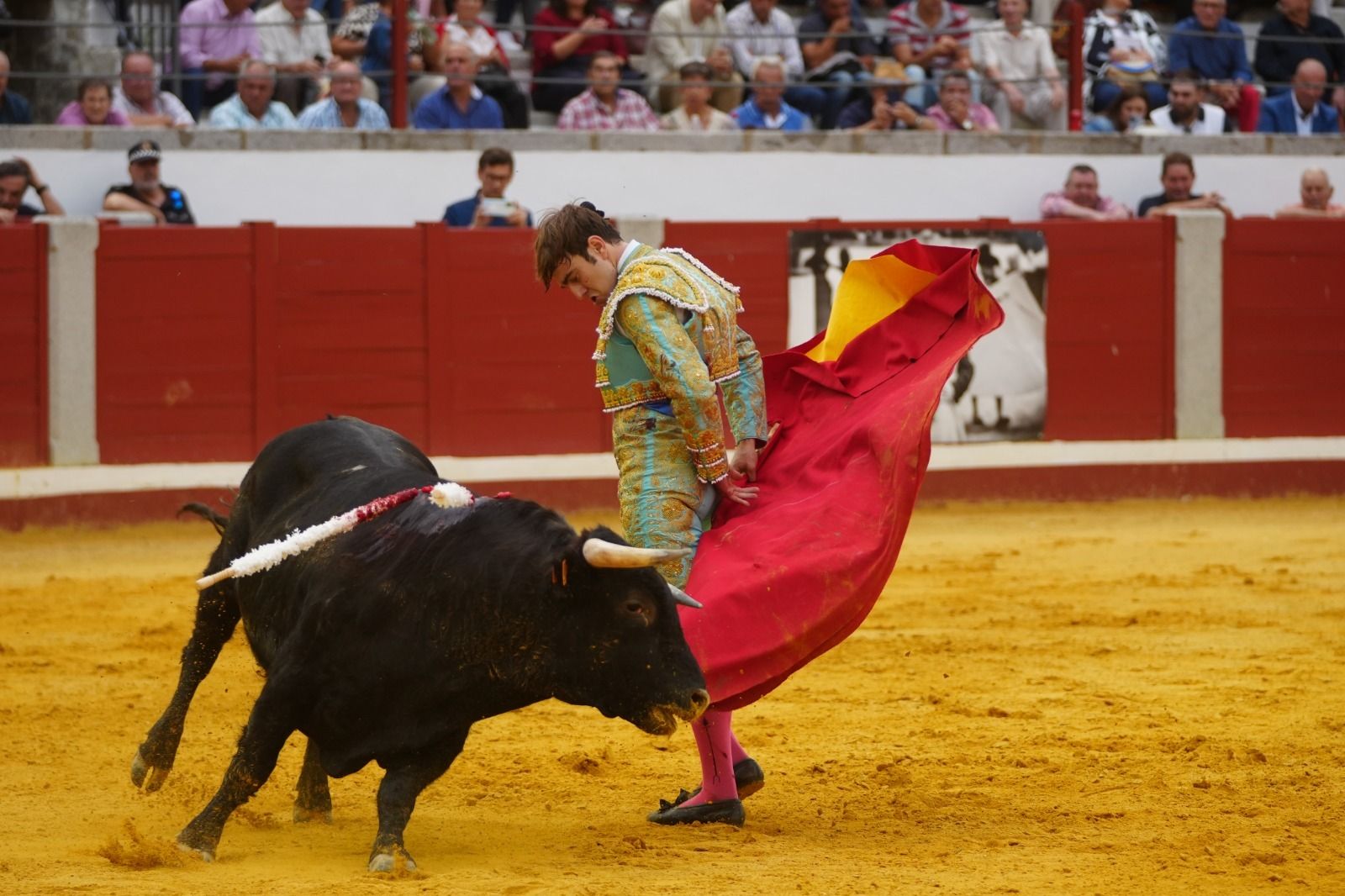 El mano a mano de los novilleros José Antonio de Gracia y El Candela en Pozoblanco, en imágenes
