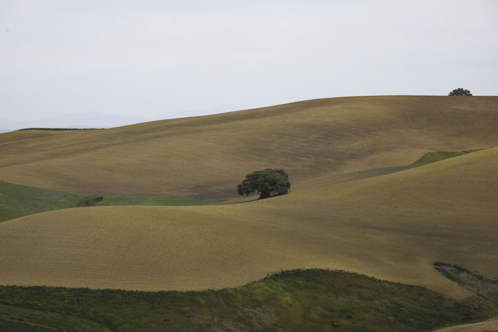 Vista de los campos  de cultivo en Córdoba.