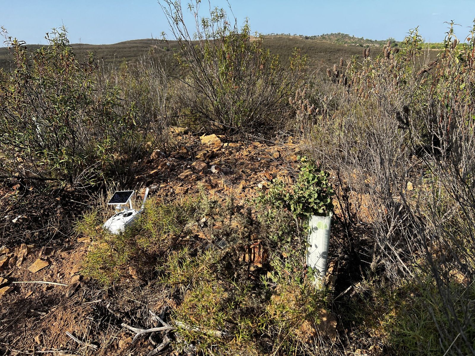 Cruz Roja pone en marcha su estrategia de emisiones.