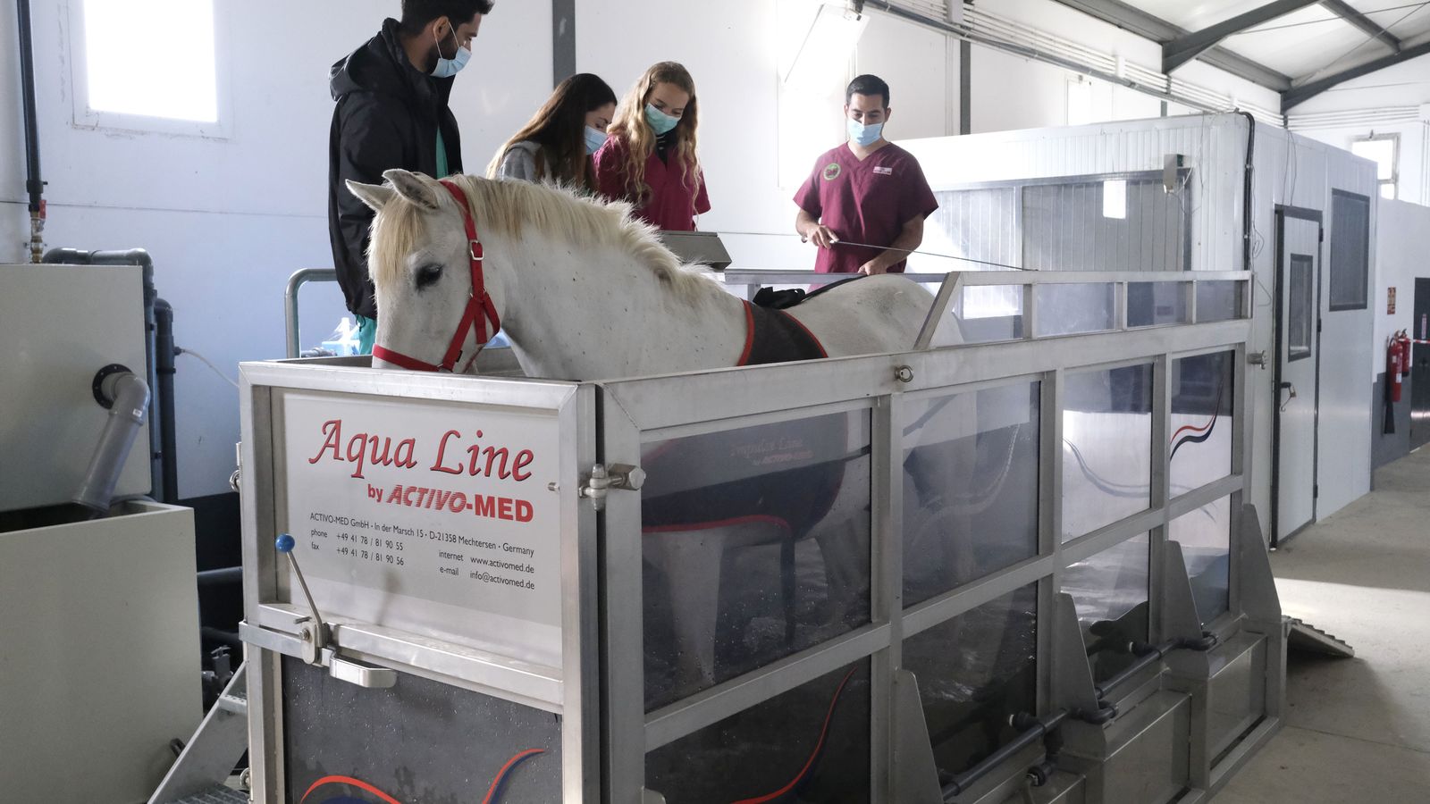 Un momento de los ejercicios en la cinta acuática.